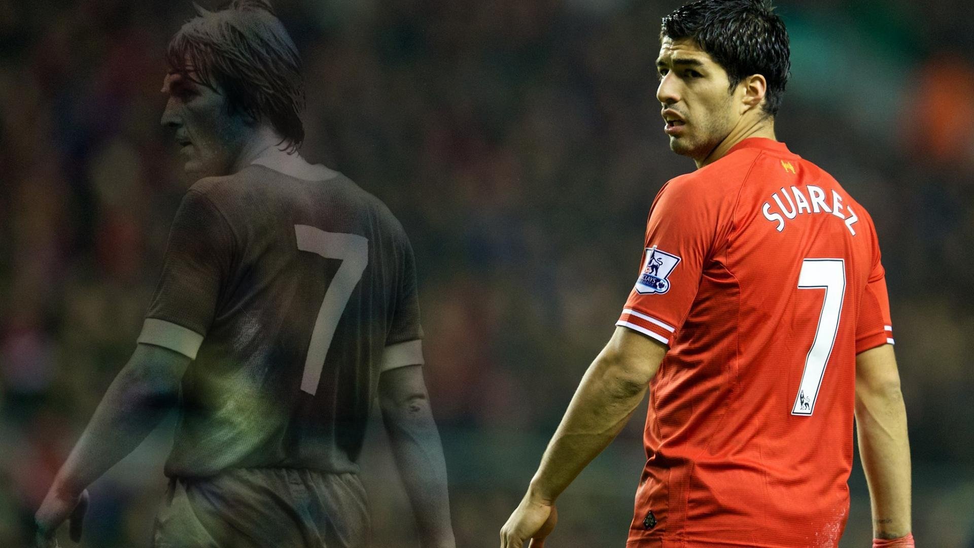 俱乐部商业拓展:场馆运营与品牌合作并行,俱乐部场地要求