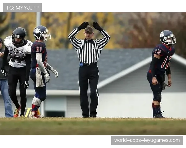 体育趣闻：那些“奇葩”裁判判罚瞬间