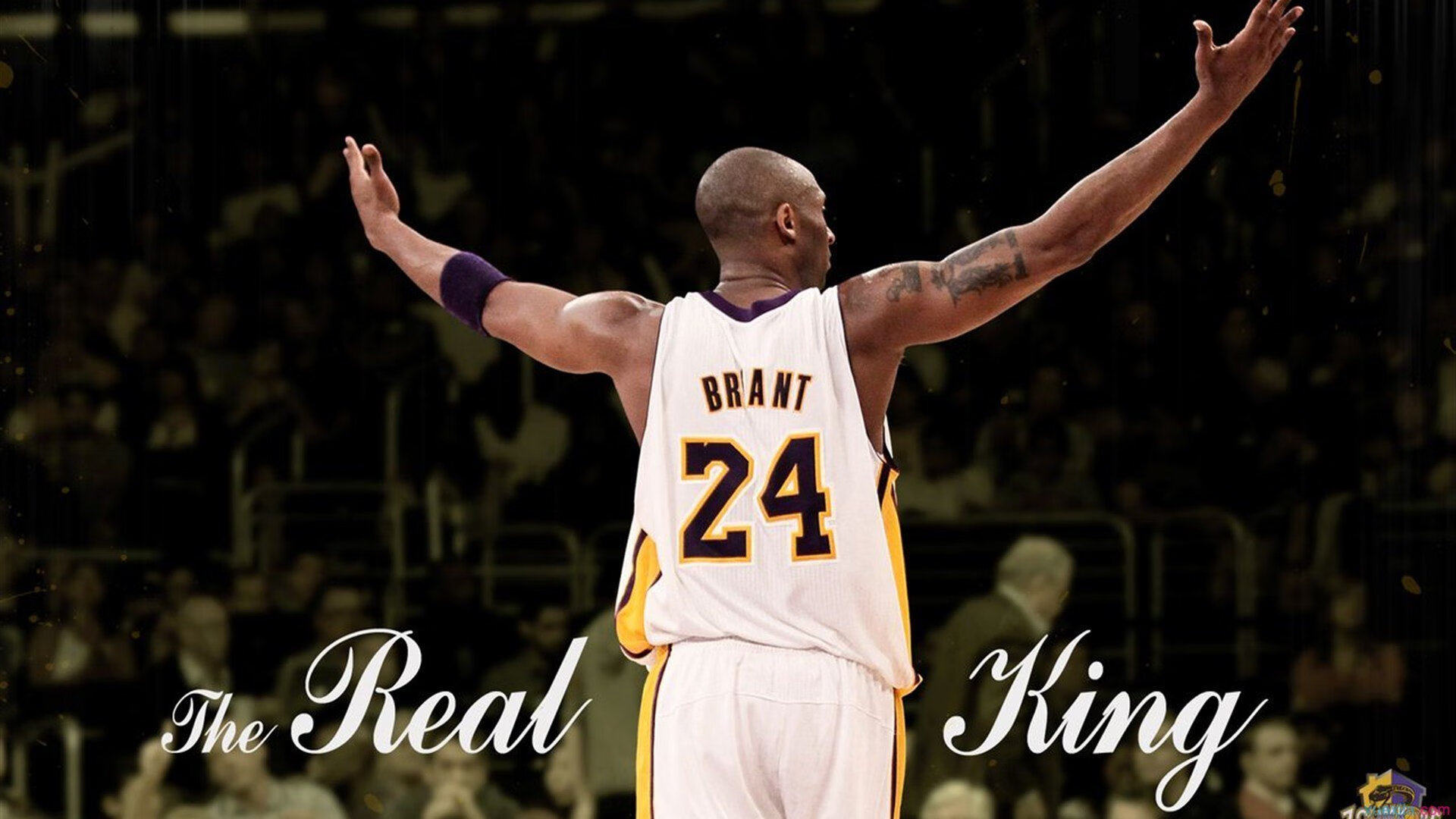 乐鱼电竞在线平台登录入口-冠军球队球员商业价值提升带动周边产业链发展，冠军热门球队